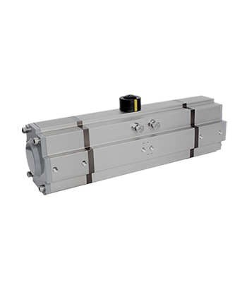 Pneumatic